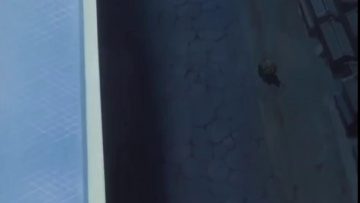 bleach capitulo 23 audio latino