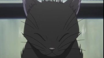 bleach capitulo 25 audio latino