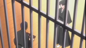 bleach capitulo 27 audio latino