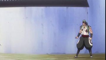 bleach capitulo 28 audio latino