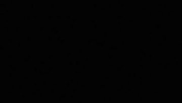 bleach capitulo 33 audio latino