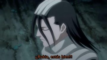 Bleach capitulo 242 sub español